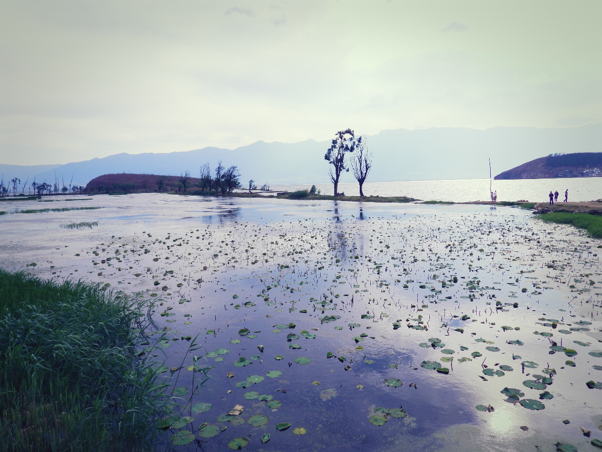 DSCN2736.JPG