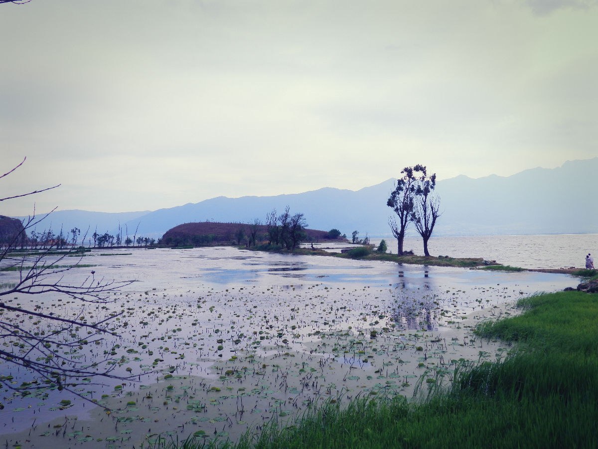DSCN2734.JPG