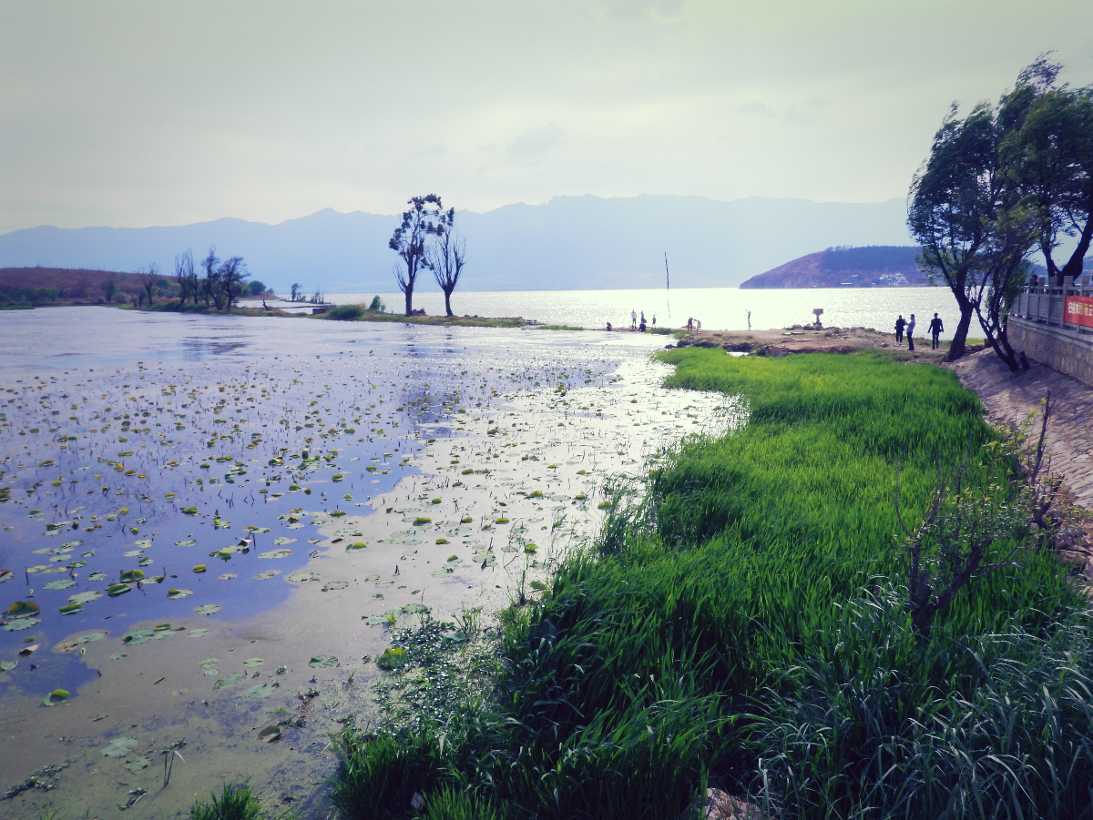 DSCN2717.JPG
