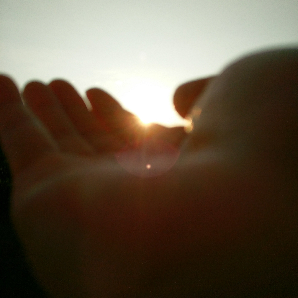 IMG_20200824_062350.jpg
